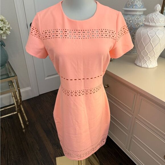 Elizabeth and James Ari Cutout Stretch-Jersey Mini Dress-V14 - Picture 3 of 6